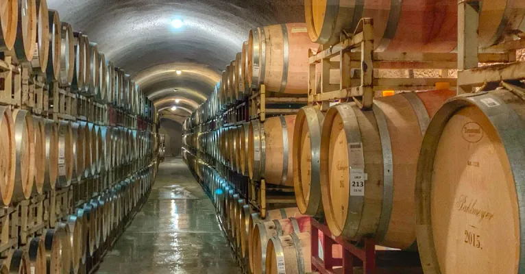 Portugal é um país pequeno, mas com uma economia diversificada e marca presença em alguns sectores nomeadamente a indústria têxtil, alimentar, metalúrgica, construção, calçado sendo que a principal delas todas e a mais lucrativa é o turismo. 
É o turismo que neste momento tem vindo a dinamizar a economia pois também impulsiona a construção. 
O movimento Somos Republicanos acredita que os mecanismos de apoio às indústrias passam pela criatividade e pela mudança de paradigma que precisa de começar em cada um dos empregadores não só das grandes, como nas pequenas e médias empresas. 
No Turismo o Movimento acredita que é preciso criar plataformas mais eficazes de segurança para que os estrangeiros que estão de passagem no nosso país se sintam seguros nas grandes cidades.
Nos outros sectores industriais como o alimentar, têxtil e calçado precisamos de elevar a qualidade, ir ao encontro daquilo que os mercados internacionais procuram e reinventar os nossos produtos para isso, o movimento defende que é preciso incentivar e capacitar os polos tecnológicos universitários para que haja pesquisa, investigação e criatividade nestas áreas para que Portugal possa entrar num mercado competitivo.
O movimento Somos Republicanos acredita ainda que as indústrias que operam no nosso país devem ter como foco o mercado internacional, abrir caminhos para escoar os nossos produtos diferenciados e ter uma visão global para que no futuro possamos todos crescer. 
Somos Republicanos defende que os grandes feitos portugueses devem ser partilhados pelo resto do mundo. 

Estabelecer acordos com as universidades portuguesas para a capacitação da indústria!
Elevar o nosso produto! 
Mais qualidade e Mais Produtividade! 
Vamos passar da cauda para o Topo da Europa!
Valorizar Portugal, por isso …. 
SOMOS OS REPUBLICANOS!